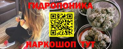 spice Кинель
