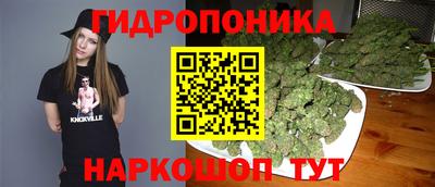spice Кинель