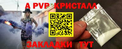 jwh Кингисепп