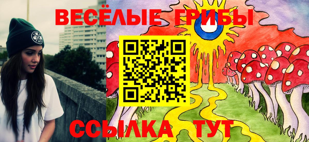 Псилоцибиновые грибы Psilocybe  Псилоцибиновые грибы мицелий  где купить   Вход с VPN  Тамбов 